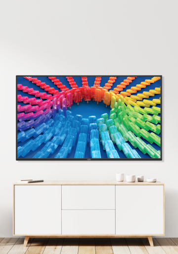 VIZIO V-Series® 50