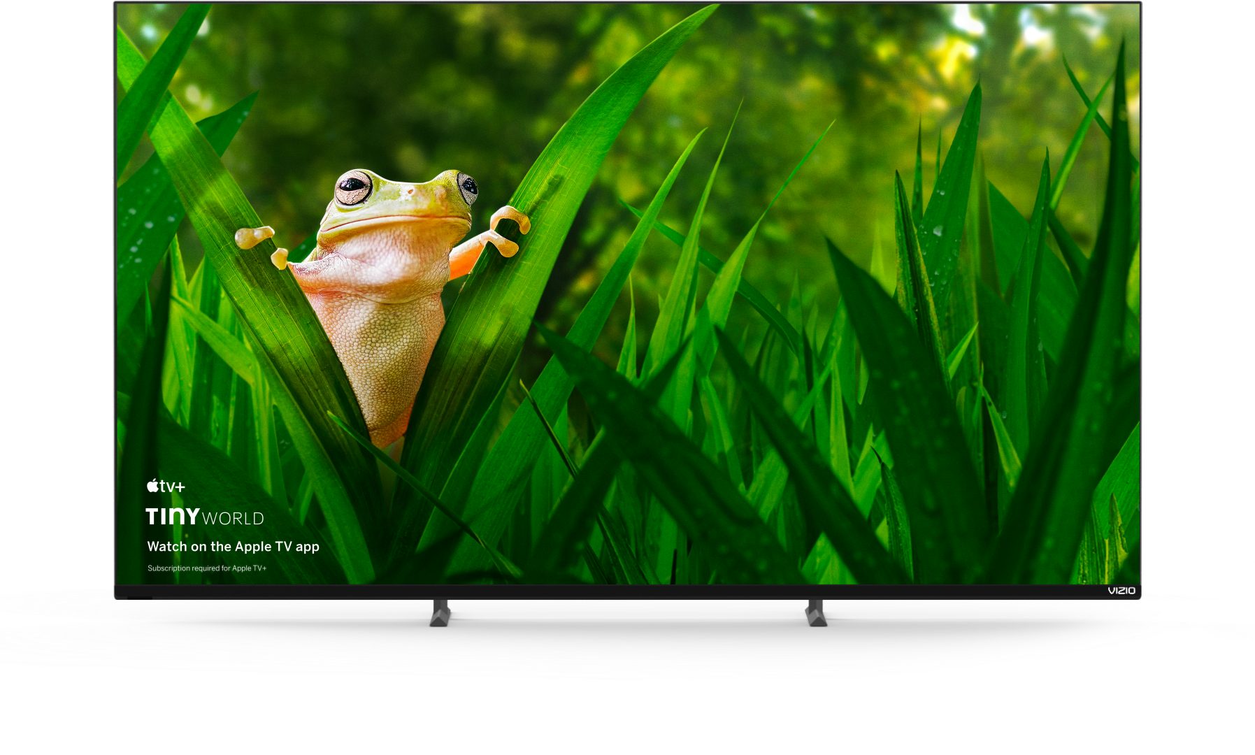  VIZIO 75 pulgadas serie M Quantum 4K UHD LED HDR Smart TV con  Apple AirPlay y Chromecast integrado, Dolby Vision, HDR10+, HDMI 2.1,  velocidad de actualización variable, modelo M75Q6-J03, 2021 